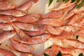 Red fish stacked on ice at fish market. Royalty Free Stock Photo