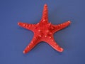 Red fish star