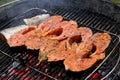 Red fish steaks in marinade over hot coals. Close-up of a grilled salmon steaks in barbeque grill.