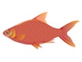 Red fish