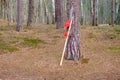 A red fisherman's flag is placed in the forest near a tree in the dune area.