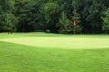 Red flag on a golf course Royalty Free Stock Photo