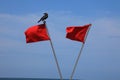 Red flags against a blue sky