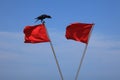 Red flags against a blue sky