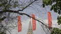 Red flags fluttering in the wind against the blue sky Royalty Free Stock Photo