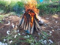 Red Flame Burning Dry Woods or Building A Campfire on the Ground Royalty Free Stock Photo