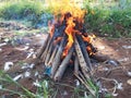 Red Flame Burning Dry Woods or Building A Campfire on the Ground Royalty Free Stock Photo