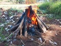 Red Flame Burning Dry Woods or Building A Campfire on the Ground Royalty Free Stock Photo