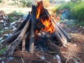 Red Flame Burning Dry Woods or Building A Campfire on the Ground Royalty Free Stock Photo