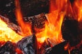 The flame that burns firewood. Royalty Free Stock Photo