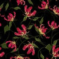 Red Flame lily flowr Botanical seamless vector pattern with leaves ,blooming floral ,Design for fashion , fabric, textile,