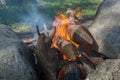 Red flame of smoky fire, built among large gray boulders, devouring long, massive logs against a background of green grass.