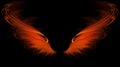 Red flame wings Royalty Free Stock Photo