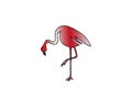 Red flamingo vector illustration isolated on white. Wading bird. Greater flamingo. Lesser flamingo. Chilean flamingo.