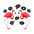 Red flamingos with speech bubbles icons. Vector illustration. Chat balloons. Funny Messages. Hello, wow, ok, like, hi
