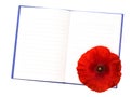 Red Flanders poppy on notebook, isolated on white. War remembranc