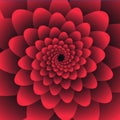 Red flower abstract background illustrasion vector eps 10 Royalty Free Stock Photo