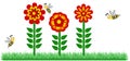 Red Flower and Bees Illustration Vector Background Royalty Free Stock Photo