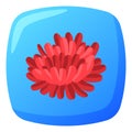 Red flower in blue ice cube. Vibrant floral design preserved in ice, fresh flower concept. Tranquility and nature