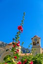 Red flower, blue sky with Greek Orthodox church in the background. Crete, Greece Royalty Free Stock Photo