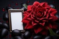 Red flower commands attention within a black framed front view photograph