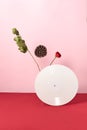 Red flower, dry branches and vinyl audio record on a duotone pink red background with copy space Royalty Free Stock Photo