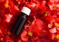 Red flower essential oil in a brown bottle. BACH therapy