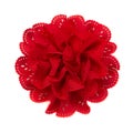 Red flower fabric