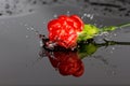 Red flower fall in water Royalty Free Stock Photo