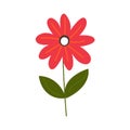 Red Flower flat icon, plant nature, chamomile sign, a colorful solid pattern on a white background, eps 10.