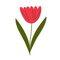 Red Flower flat icon, plant nature, chamomile sign, a colorful solid pattern on a white background, eps 10.