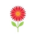 Red Flower flat icon,plant & nature, a colorful solid pattern on a white background, vector illustrations