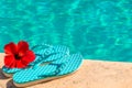 Red flower and flip flops Royalty Free Stock Photo