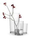 Red flower in glass vase isolated on white Royalty Free Stock Photo