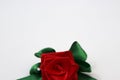 Red rose with green petals made by hand from satin ribbon Royalty Free Stock Photo