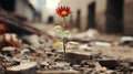 a red flower is growing out of the ground in the middle of a pile of rubble