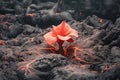 Red Flower Growing Through Volcano Lava extreme closeup. Generative AI