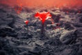 Red Flower Growing Through Volcano Lava extreme closeup. Generative AI