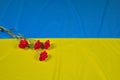 Red flower lying on a Ukrainian flag