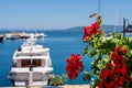 Red Flower over the sea lagoon of Orbetello, Tuscany, with defocused luxury yacht on background. Royalty Free Stock Photo
