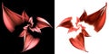 Red flower petals arranged in a spiral on white and black backgrounds. Set of graphic design elements. 3D rendering. 3D