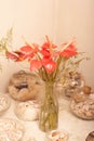 Red flower plants on a whit background