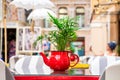 A red flower pot made from a teapot with an ornamental plant stands on a glass table in an outdoor cafe, against the background of