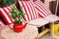 A red flower pot made from a teapot with an ornamental plant stands on a red table with a tablecloth, against a background of a Royalty Free Stock Photo