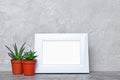 Red flower pot with small cacti and mock-up of white frame with copy space for poster