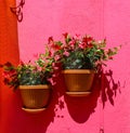 Red flower pots decorate the walls of the pink house Royalty Free Stock Photo