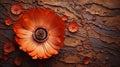 Vivid Orange Flower Eroded Surfaces And Surrealistic Elements