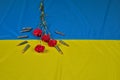 Red flower (surrounded by ammunition for Kalashnikov rifle) lying on a Ukrainian flag