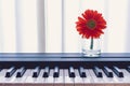 Red flower in a transparent vase on a piano near the window