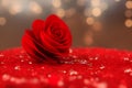 red flower for valentines day background on red table under night scenes